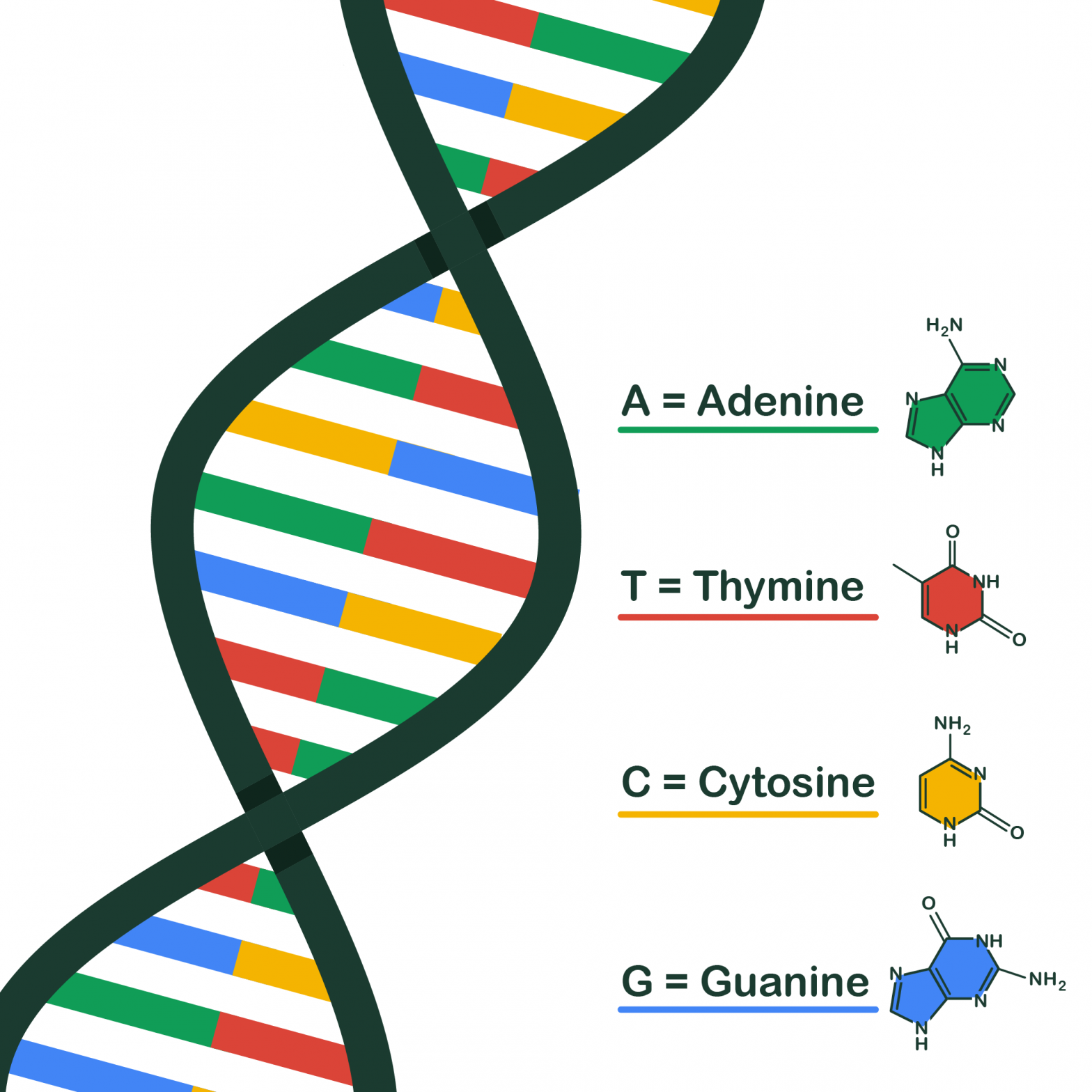 infographics_02 - Hong Kong Genome Institute