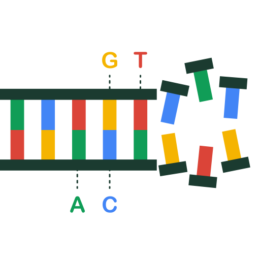 DNA Genome